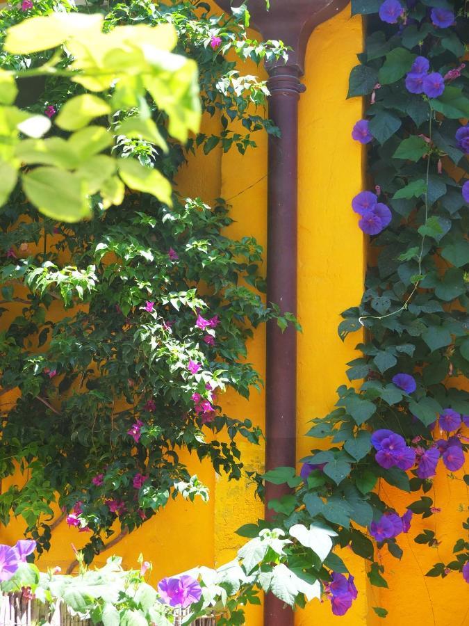 La Maison Jaune Sète Zewnętrze zdjęcie