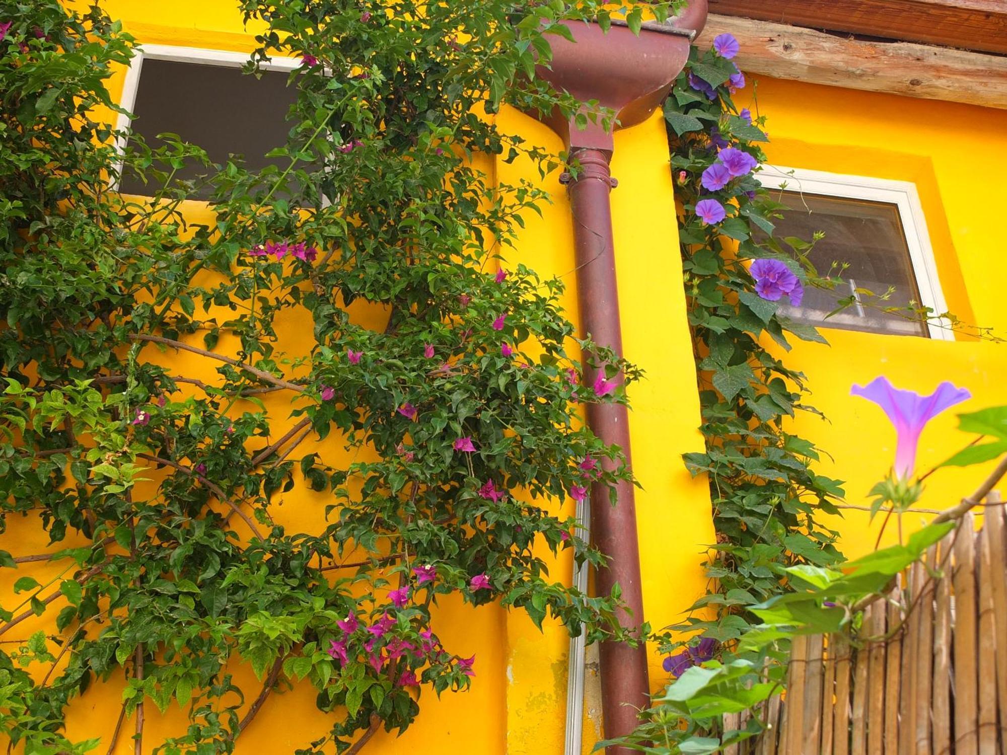La Maison Jaune Sète Pokój zdjęcie